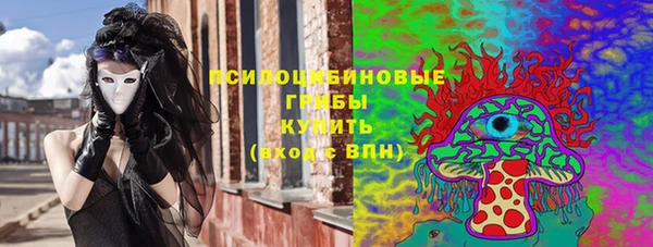 скорость Богородицк