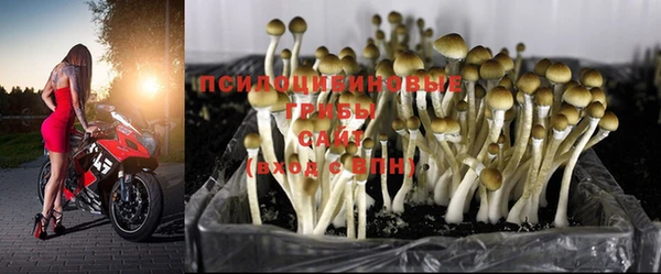 бутират Бородино